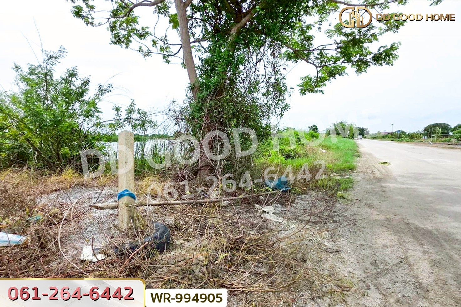 WR-994905 ที่ดิน 6 ไร่ บางปะกง ฉะเชิงเทรา ใกล้โรงพยาบาลจุฬารัตน์ 11 อินเตอร์