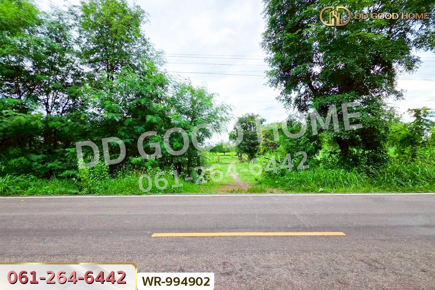 WR-994902 ที่ดินพระธาตุบังพวน 24 ไร่ 321 ตร.ว. หนองคาย ใกล้พระธาตุบังพวน