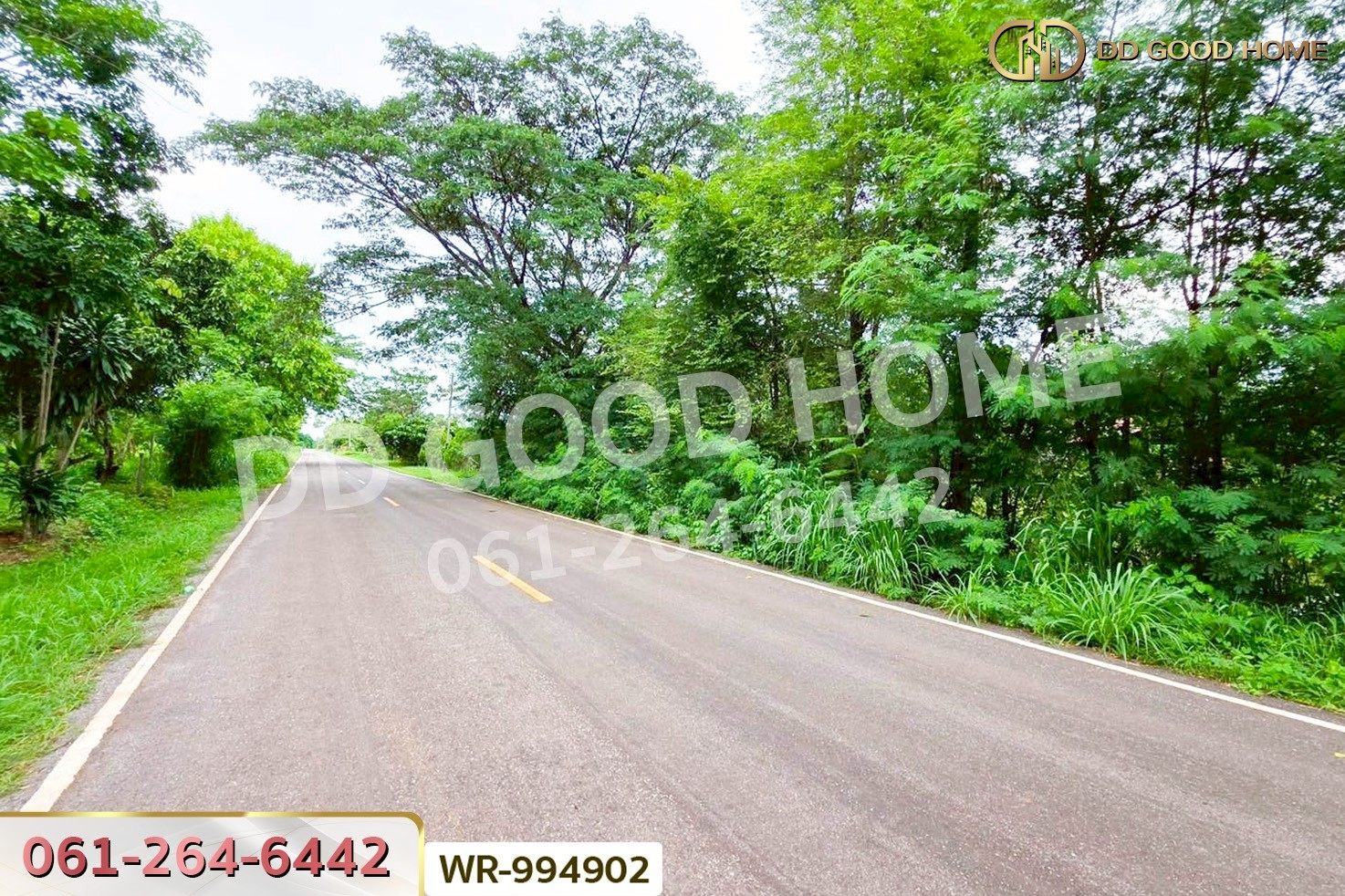 WR-994902 ที่ดินพระธาตุบังพวน 24 ไร่ 321 ตร.ว. หนองคาย ใกล้พระธาตุบังพวน