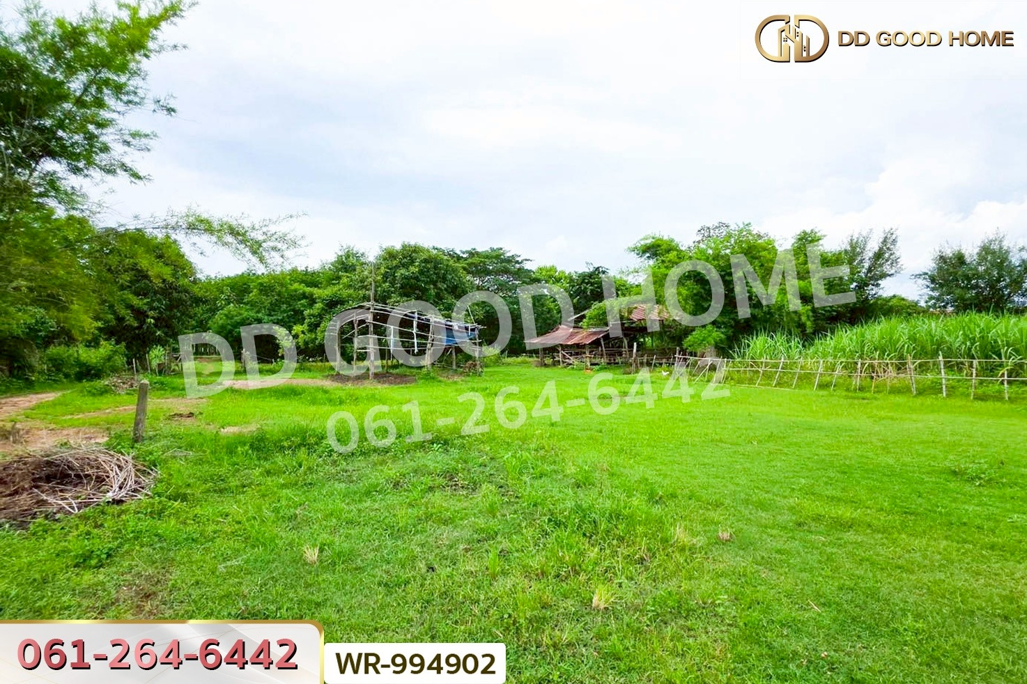 WR-994902 ที่ดินพระธาตุบังพวน 24 ไร่ 321 ตร.ว. หนองคาย ใกล้พระธาตุบังพวน