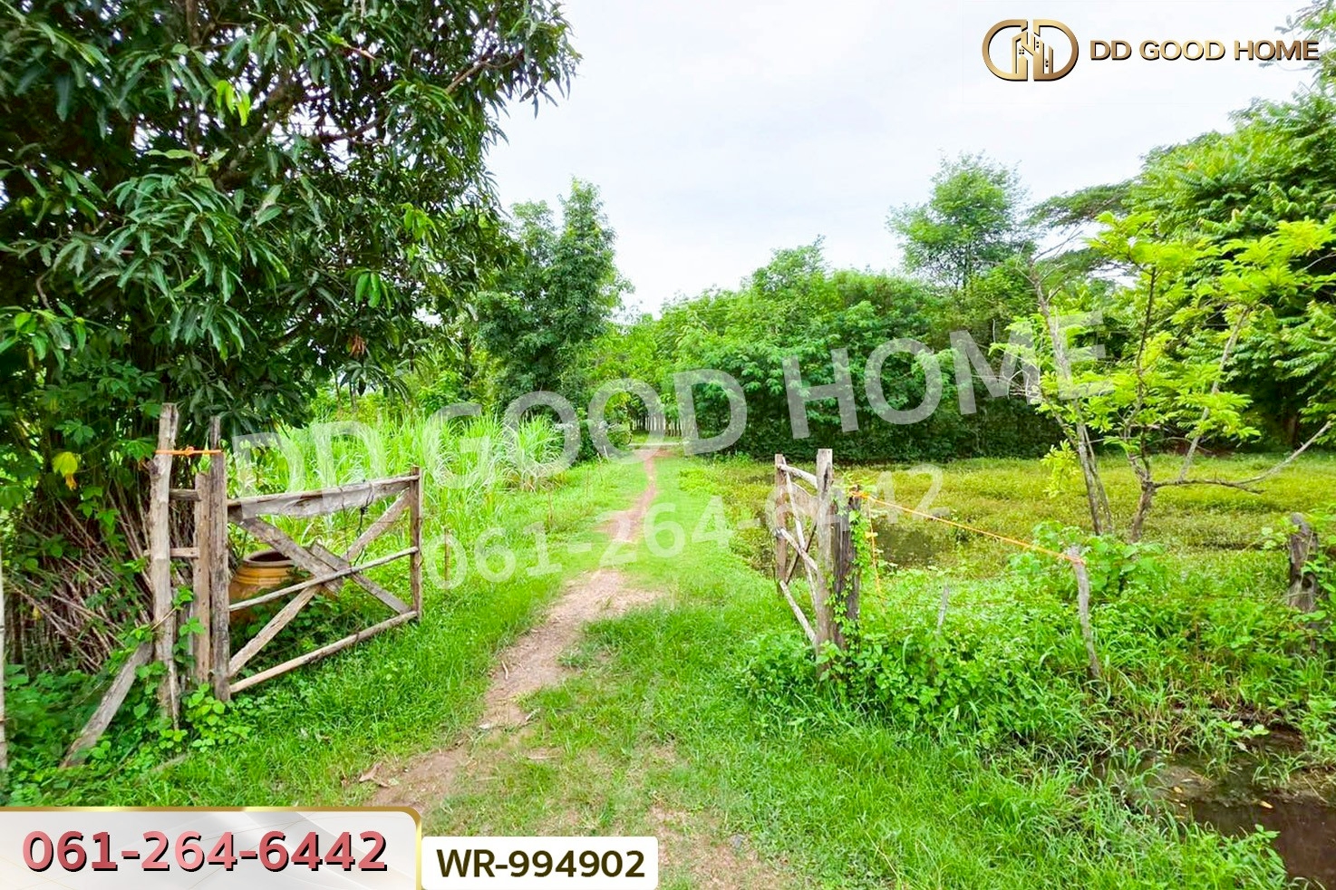 WR-994902 ที่ดินพระธาตุบังพวน 24 ไร่ 321 ตร.ว. หนองคาย ใกล้พระธาตุบังพวน