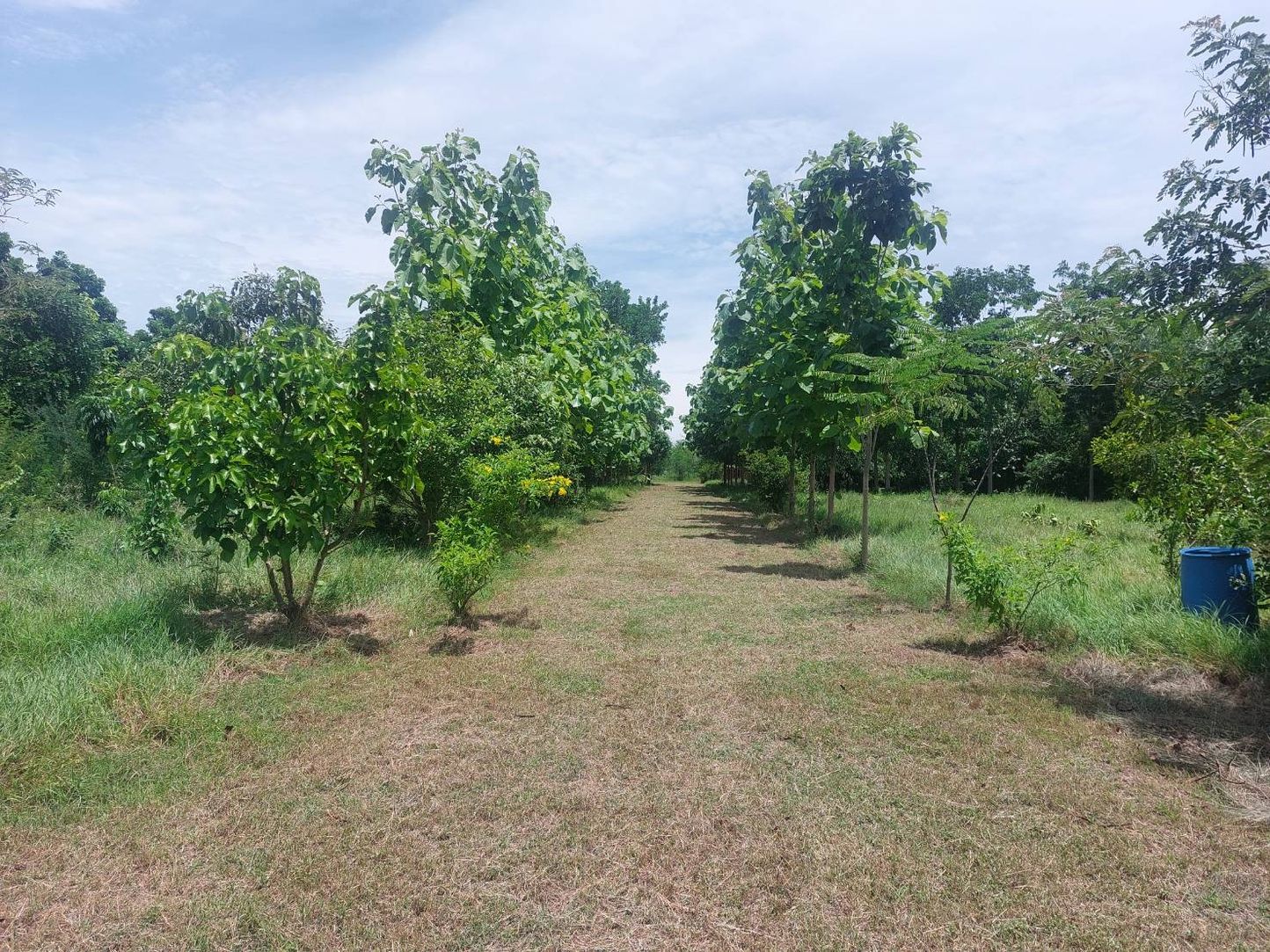 ขายที่ดินริมน้ำ สุดปัง บรรยากาศหลักล้าน ราคาแค่ 4 ล้านกว่า