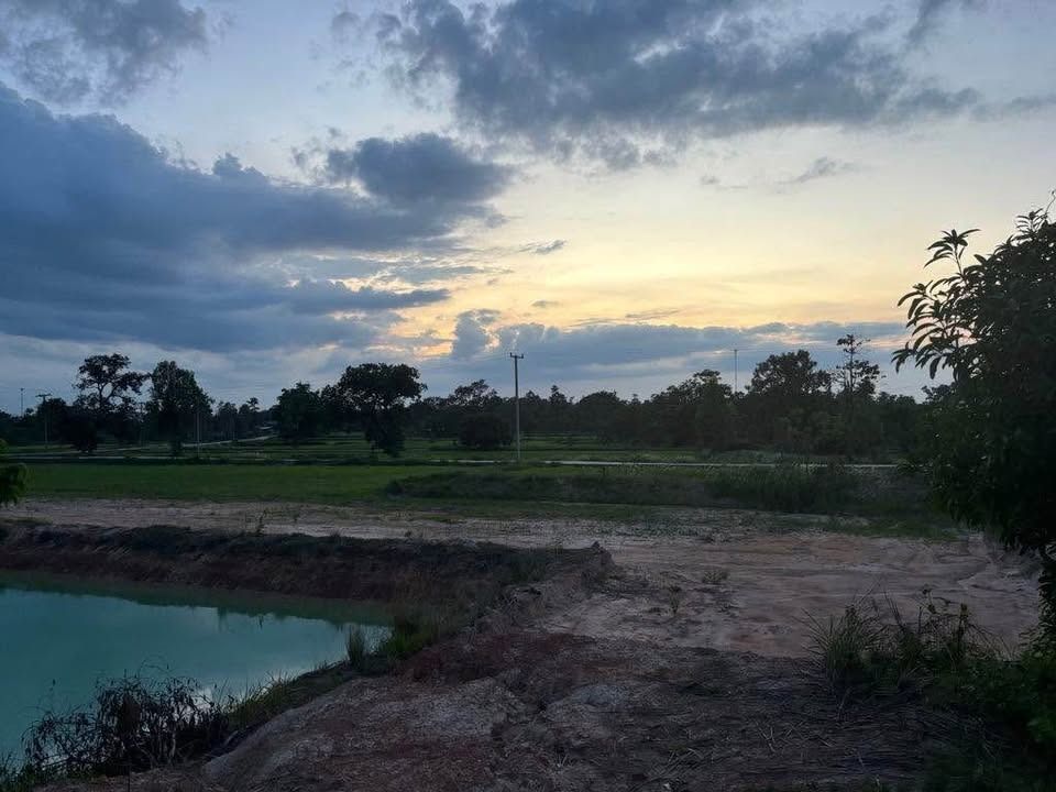 ขายที่ดินติดถนน 2 ด้าน ทำเลทอง 15 ไร่ ราคาถูก อำเภอม่วงสามสิบ จังหวัดอุบลราชธานี