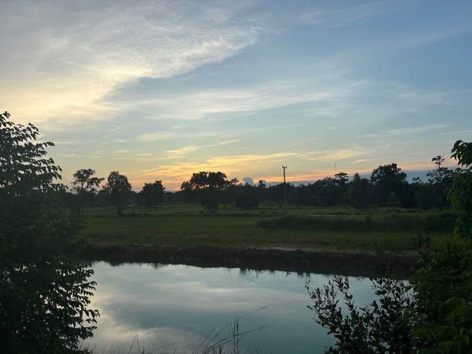 ขายที่ดินติดถนน 2 ด้าน ทำเลทอง 15 ไร่ ราคาถูก อำเภอม่วงสามสิบ จังหวัดอุบลราชธานี