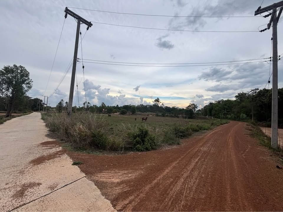 ขายที่ดินติดถนน 2 ด้าน ทำเลทอง 15 ไร่ ราคาถูก อำเภอม่วงสามสิบ จังหวัดอุบลราชธานี