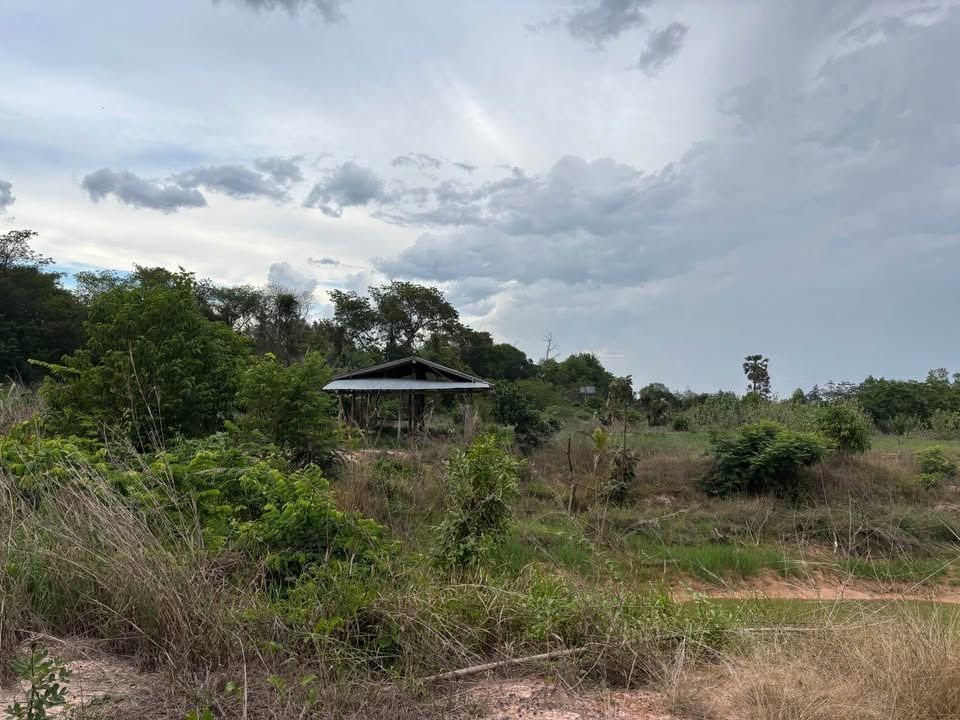 ขายที่ดินติดถนน 2 ด้าน ทำเลทอง 15 ไร่ ราคาถูก อำเภอม่วงสามสิบ จังหวัดอุบลราชธานี