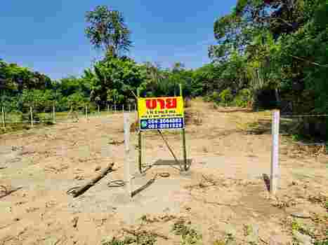 ขายที่ดินเปล่า ทำเลดี ใกล้ตลาดสดบ้านน้ำสวย อำเภอสระใคร จังหวัดหนองคาย 