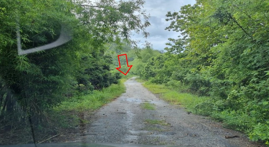 ประกาศขายที่ดินแปลงใหญ่ ติดถนนใหญ่ จันทบุรี – สระแก้ว (ทล.317)