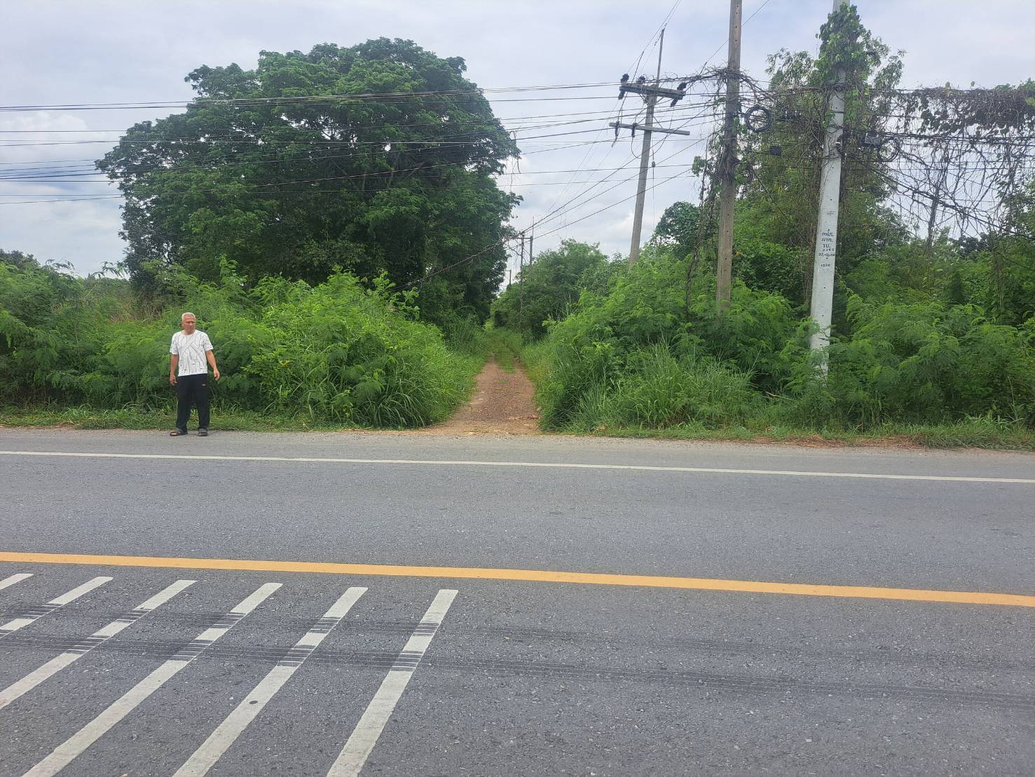 ขายที่ดินเปล่า ทำเลดี คลอง 14 หนองเสือ จังหวัดปทุมธานี