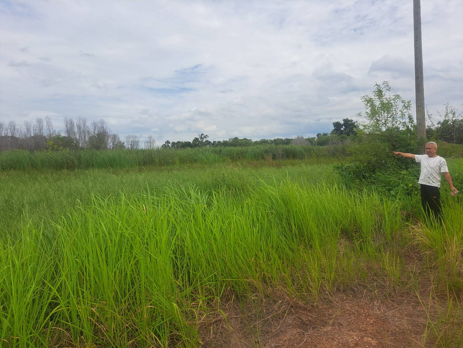 ขายที่ดินเปล่า ทำเลดี คลอง 14 หนองเสือ จังหวัดปทุมธานี