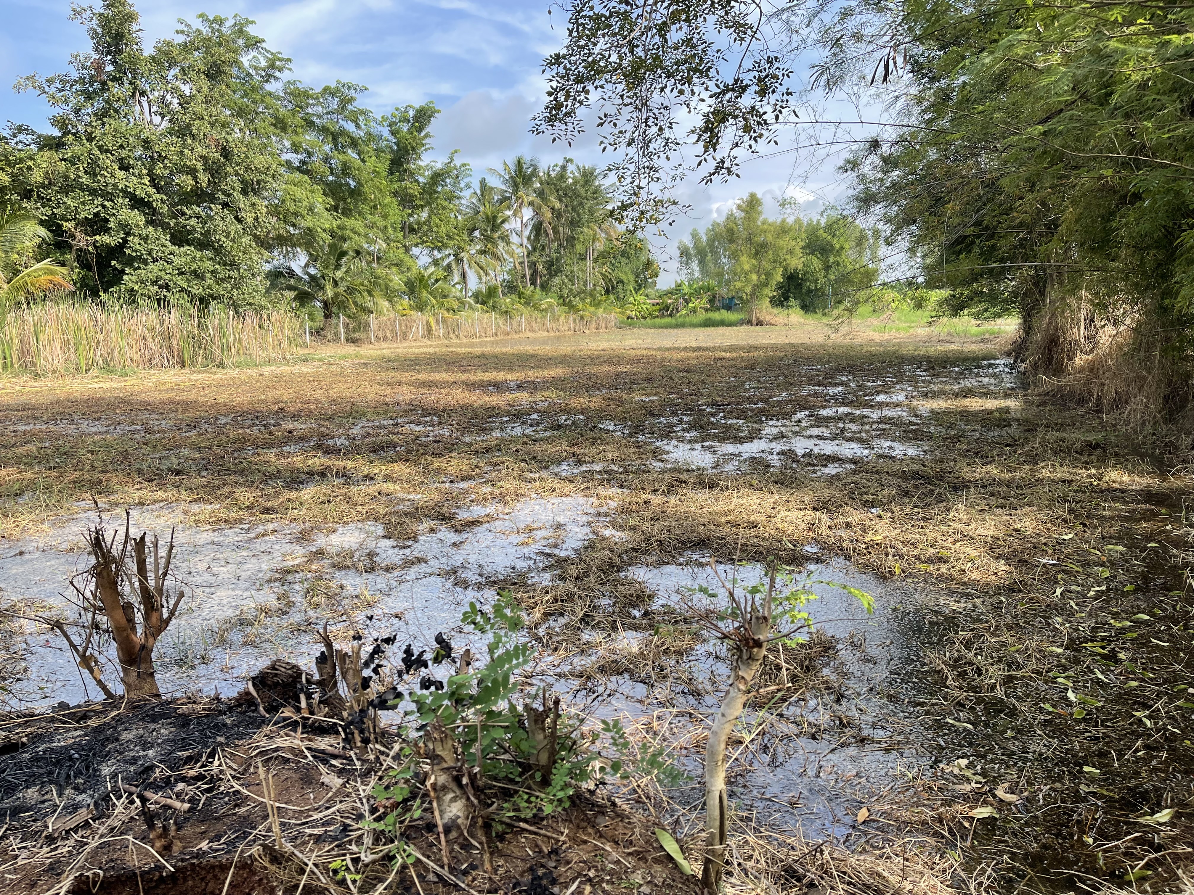 ขายที่ดิน 2 ไร่ ทำเลดี อำเภอครบุรี จังหวัดนครราชสีมา