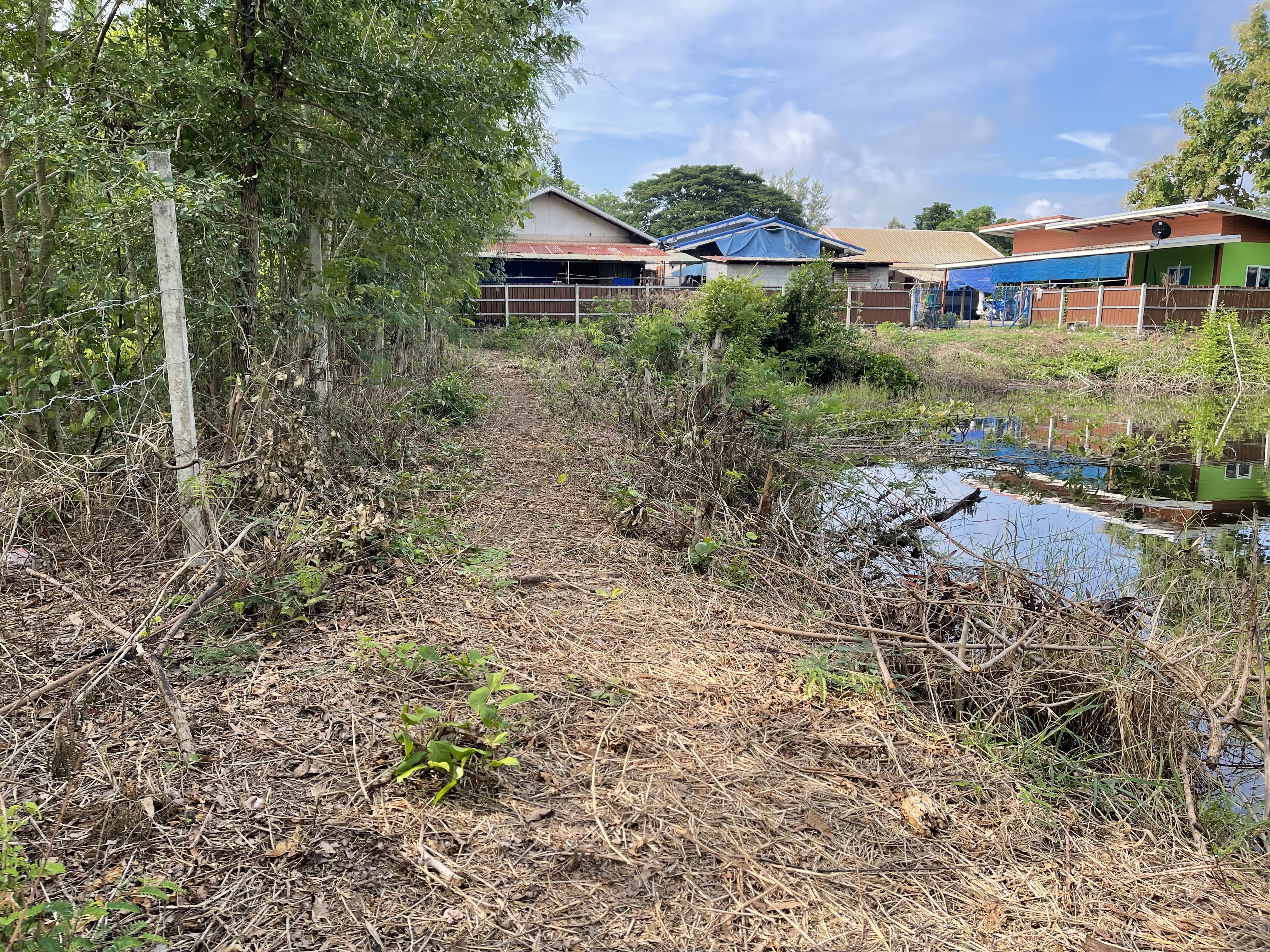 ขายที่ดิน 2 ไร่ ทำเลดี อำเภอครบุรี จังหวัดนครราชสีมา