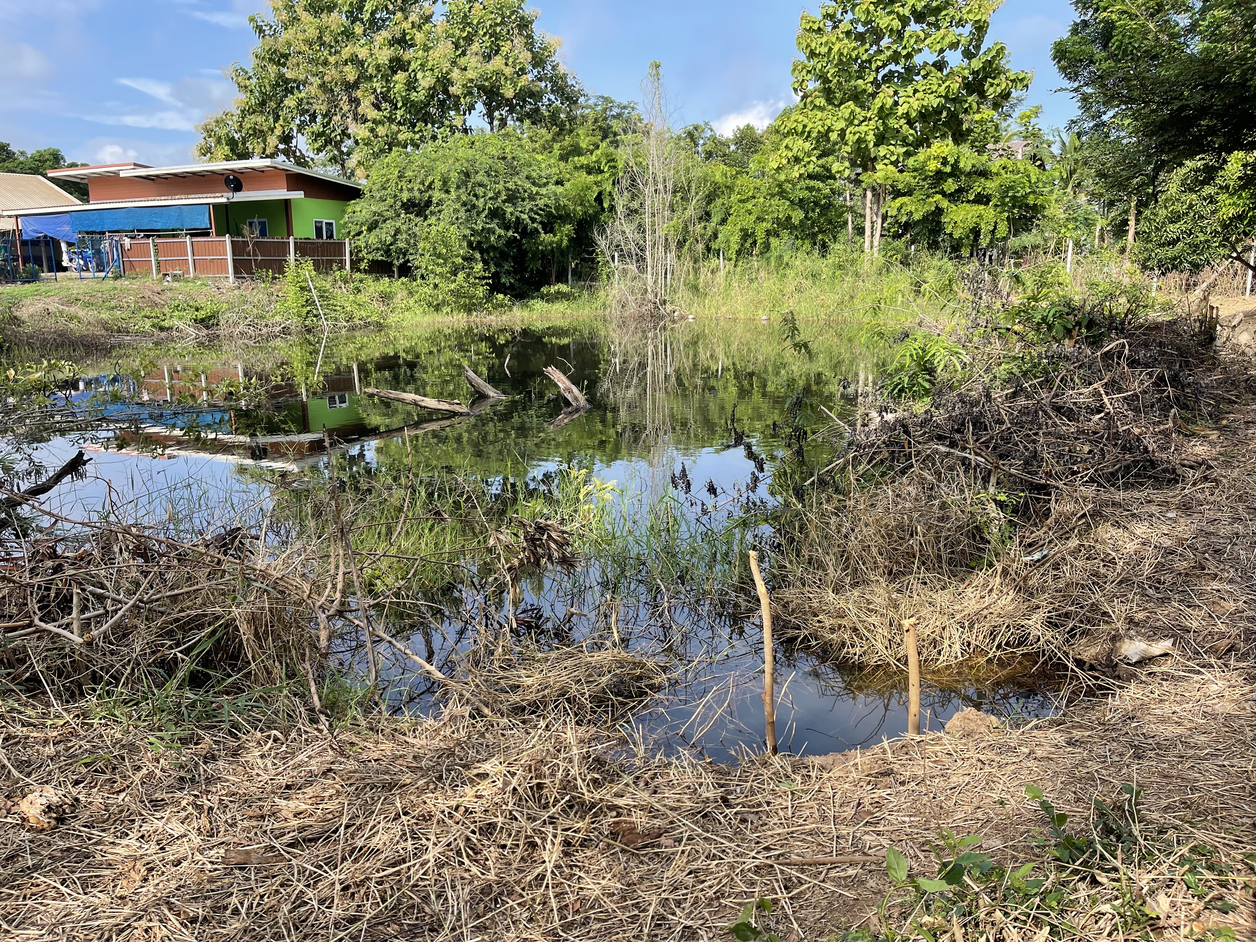 ขายที่ดิน 2 ไร่ ทำเลดี อำเภอครบุรี จังหวัดนครราชสีมา