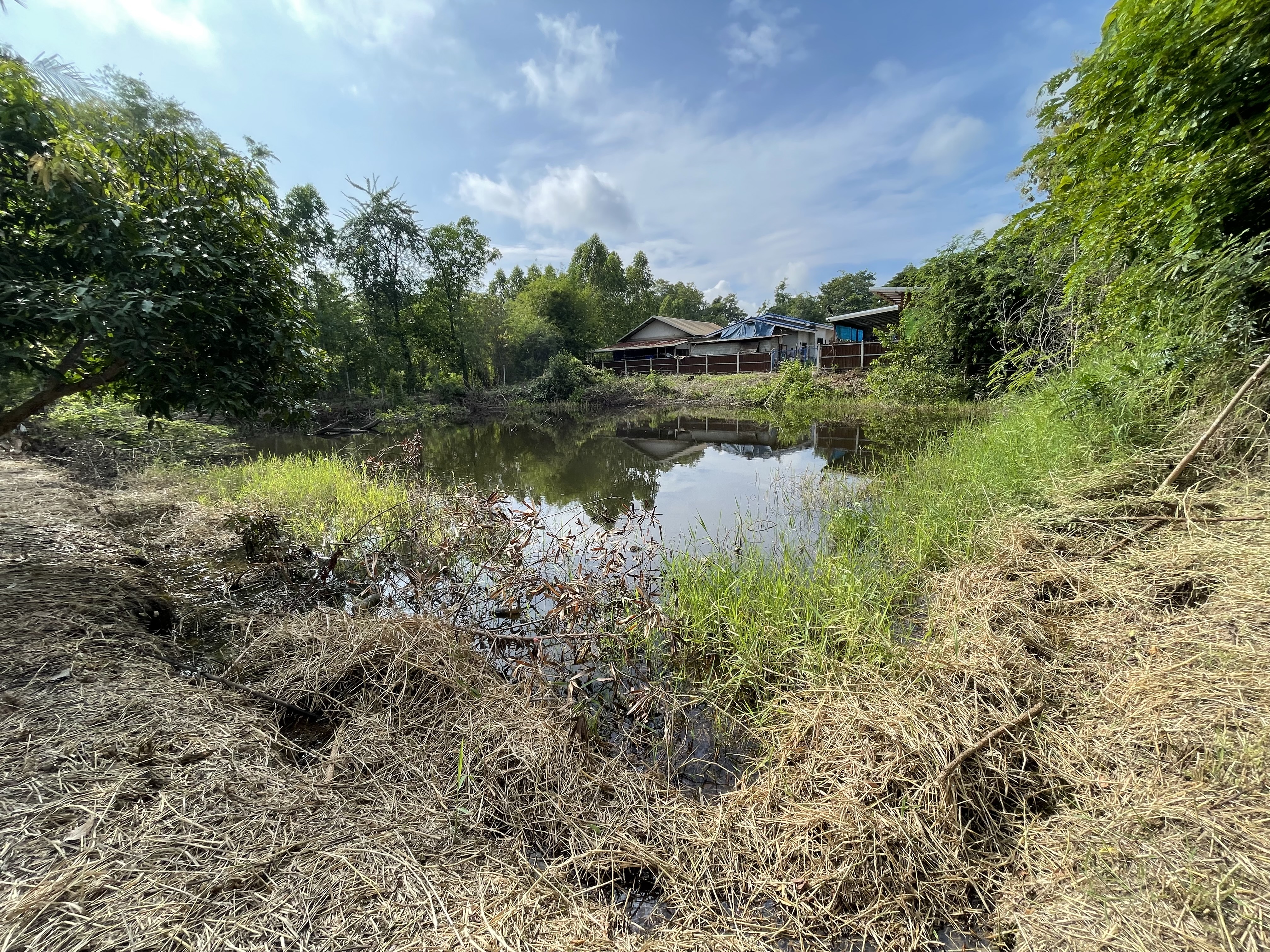 ขายที่ดิน 2 ไร่ ทำเลดี อำเภอครบุรี จังหวัดนครราชสีมา