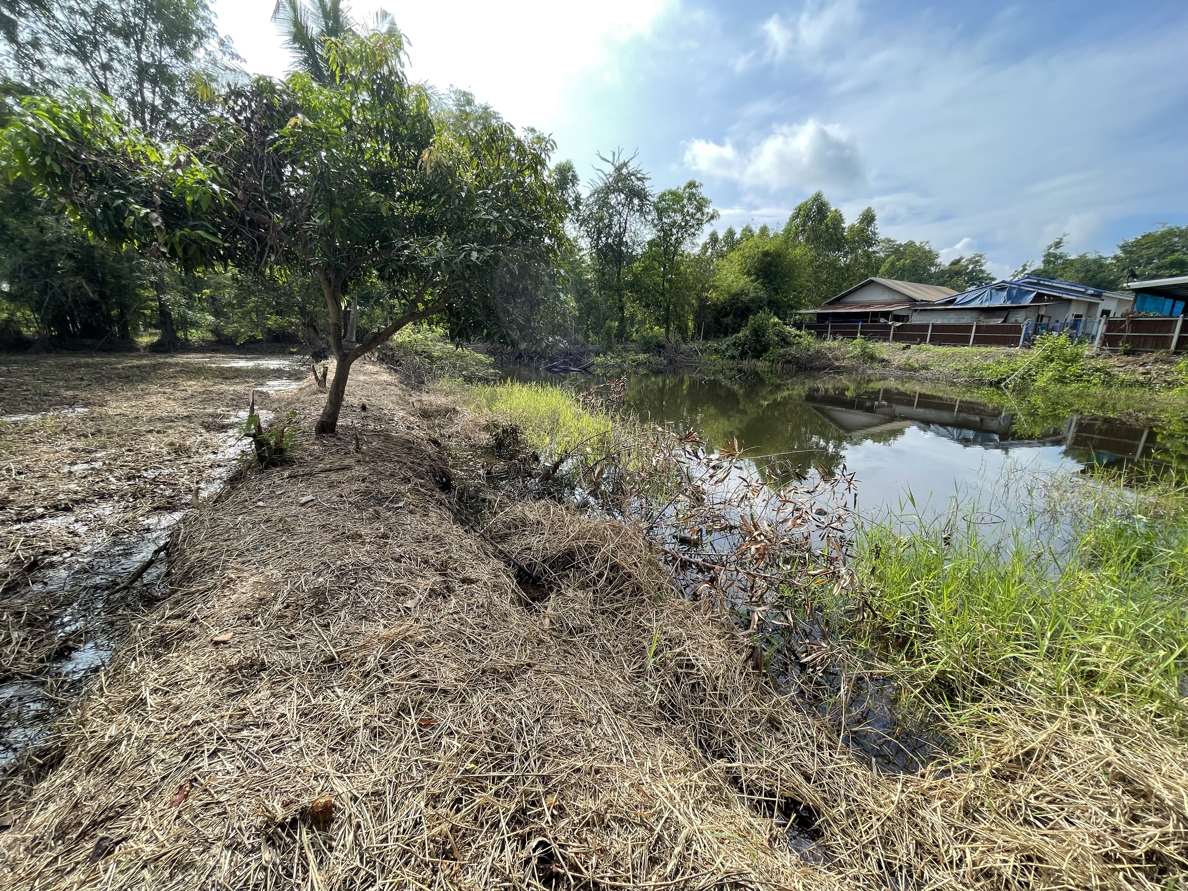 ขายที่ดิน 2 ไร่ ทำเลดี อำเภอครบุรี จังหวัดนครราชสีมา