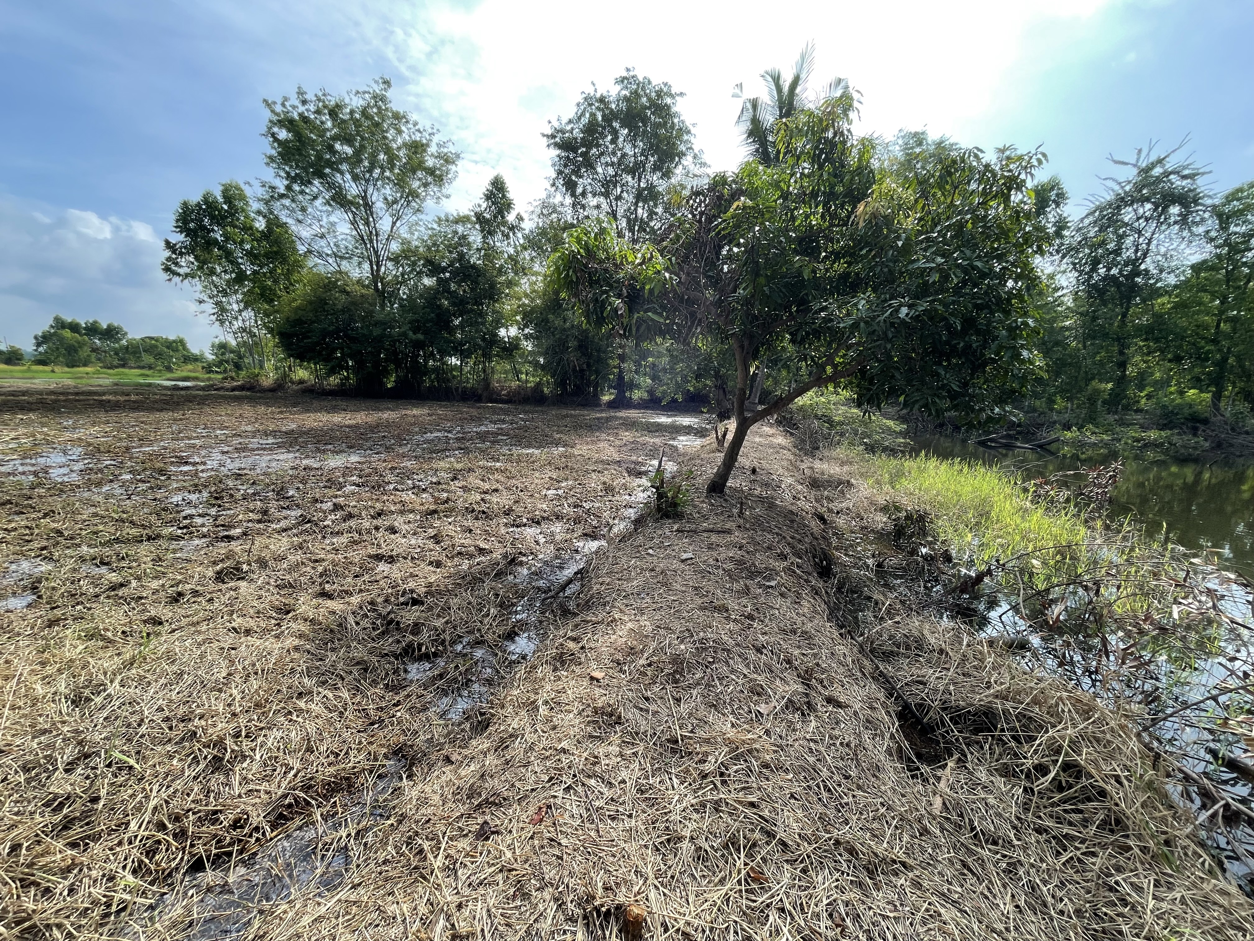 ขายที่ดิน 2 ไร่ ทำเลดี อำเภอครบุรี จังหวัดนครราชสีมา