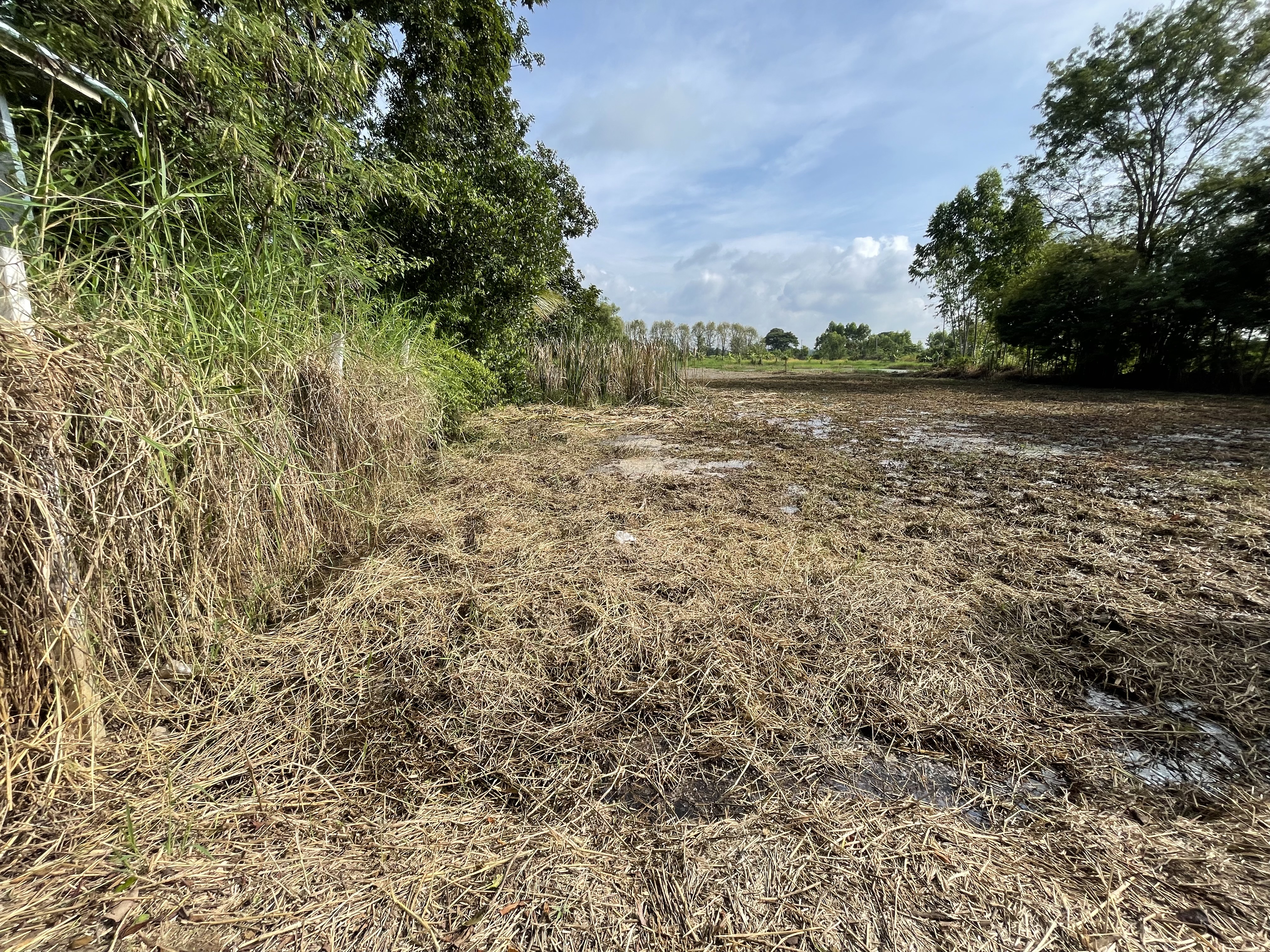 ขายที่ดิน 2 ไร่ ทำเลดี อำเภอครบุรี จังหวัดนครราชสีมา