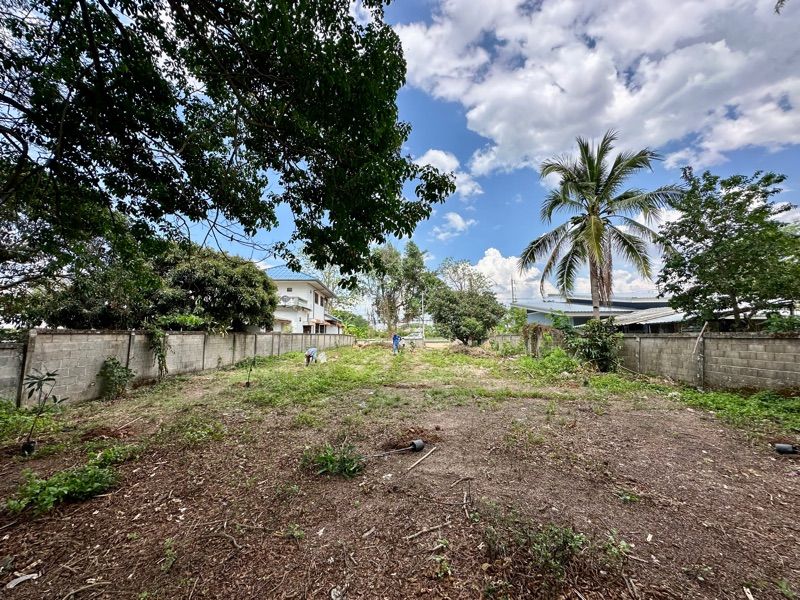 ขายที่ดินเปล่า ทำเลดี ติดถนนใหญ่ อำเภอเมืองพะเยา จังหวัดพะเยา 