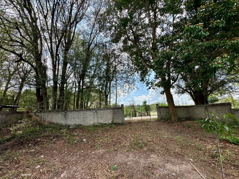 ขายที่ดินเปล่า ทำเลดี ติดถนนใหญ่ อำเภอเมืองพะเยา จังหวัดพะเยา 