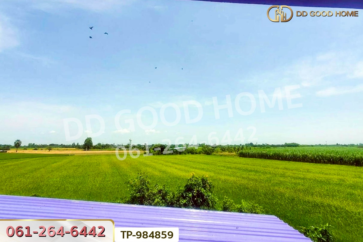 DD-984859 ที่ดินพร้อมสิ่งปลูกสร้าง 1 ไร่ 60 ตร.ว. ศรีประจันต์ สุพรรณบุรี ใกล้โรงพยาบาลศรีประจันต์