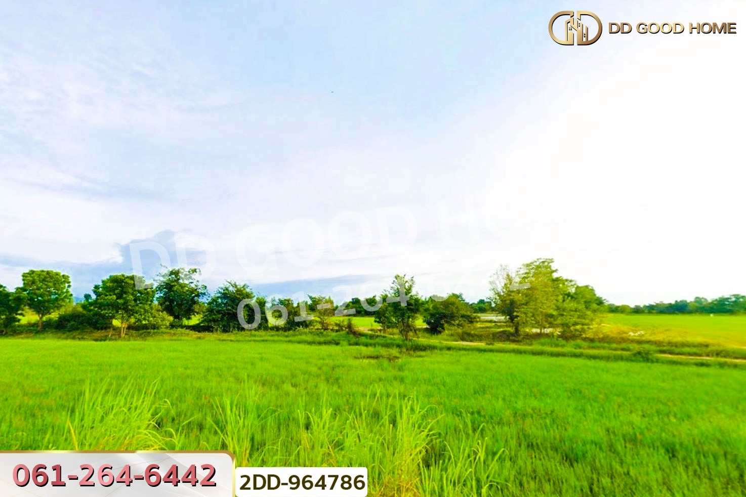 2DD-964786 ที่ดินพยุหะคีรี 20 ไร่ 191.1 ตร.ว. นครสวรรค์ ใกล้องค์การบริหารส่วนตำบลยางขาว