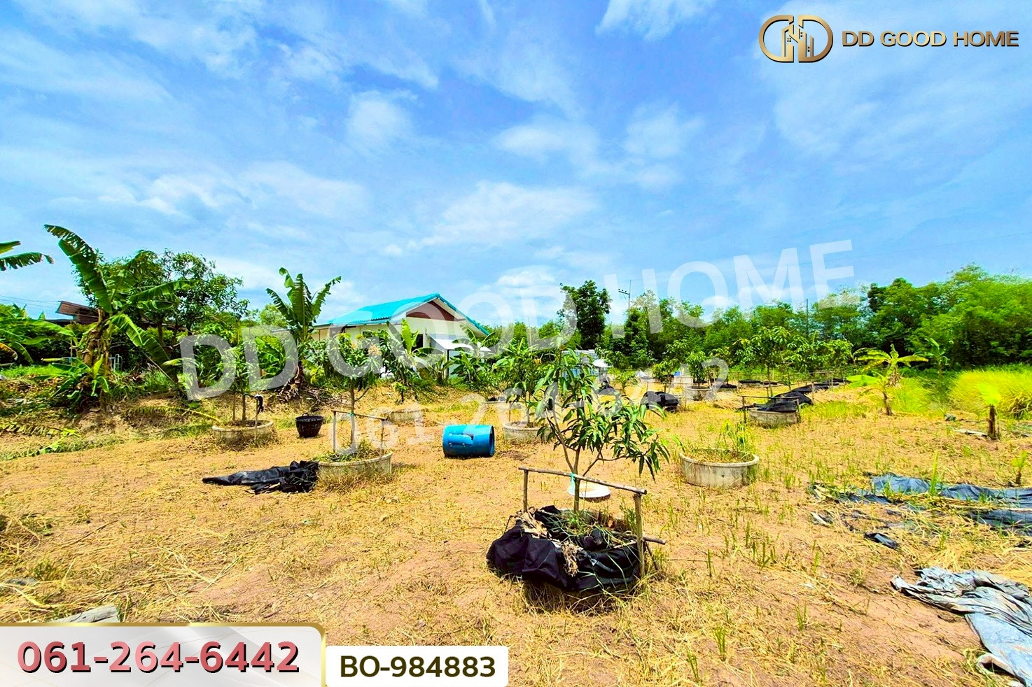 BO-984883 ที่ดินหนองเสือ 60 ตร.ว. ปทุมธานี ใกล้โรงเรียนสารสาสน์วิเทศปทุมธานี