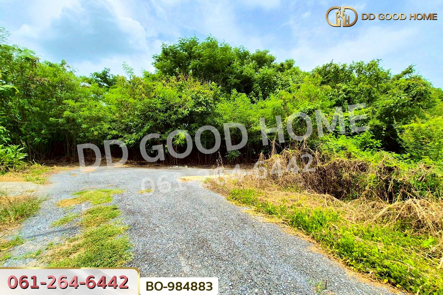 BO-984883 ที่ดินหนองเสือ 60 ตร.ว. ปทุมธานี ใกล้โรงเรียนสารสาสน์วิเทศปทุมธานี