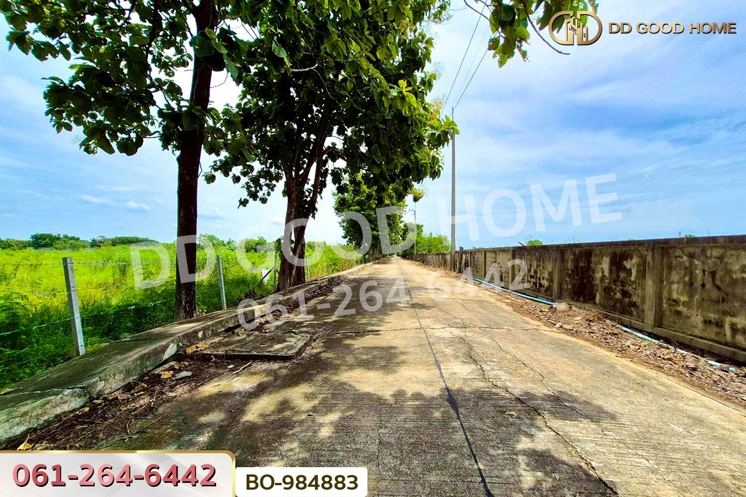 BO-984883 ที่ดินหนองเสือ 60 ตร.ว. ปทุมธานี ใกล้โรงเรียนสารสาสน์วิเทศปทุมธานี