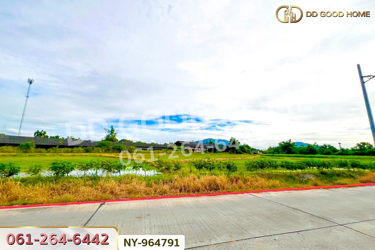 NY-964791 ที่ดินบ้านบึง 4 ไร่ ชลบุรี ใกล้ภิญโญฟาร์ม (เต้าหู้ไข่ไก่ตระกูลหยาง)
