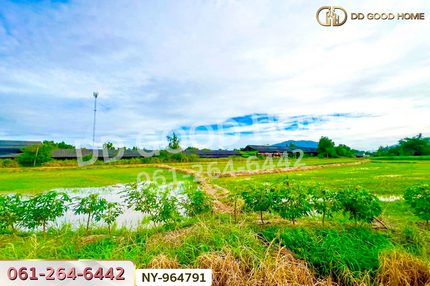 NY-964791 ที่ดินบ้านบึง 4 ไร่ ชลบุรี ใกล้ภิญโญฟาร์ม (เต้าหู้ไข่ไก่ตระกูลหยาง)