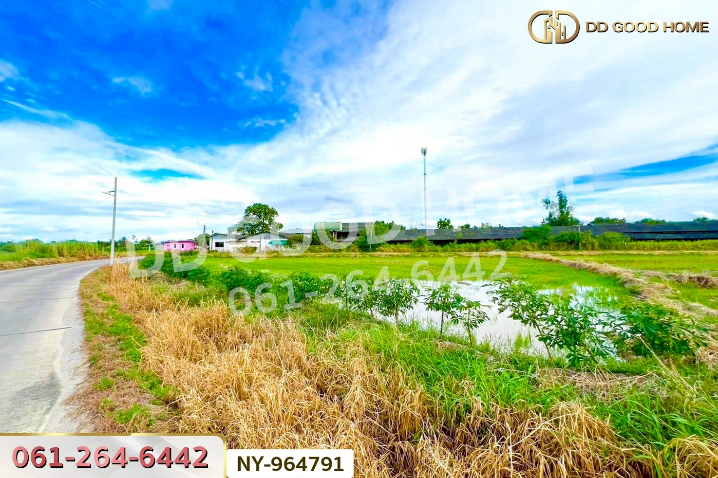 NY-964791 ที่ดินบ้านบึง 4 ไร่ ชลบุรี ใกล้ภิญโญฟาร์ม (เต้าหู้ไข่ไก่ตระกูลหยาง)
