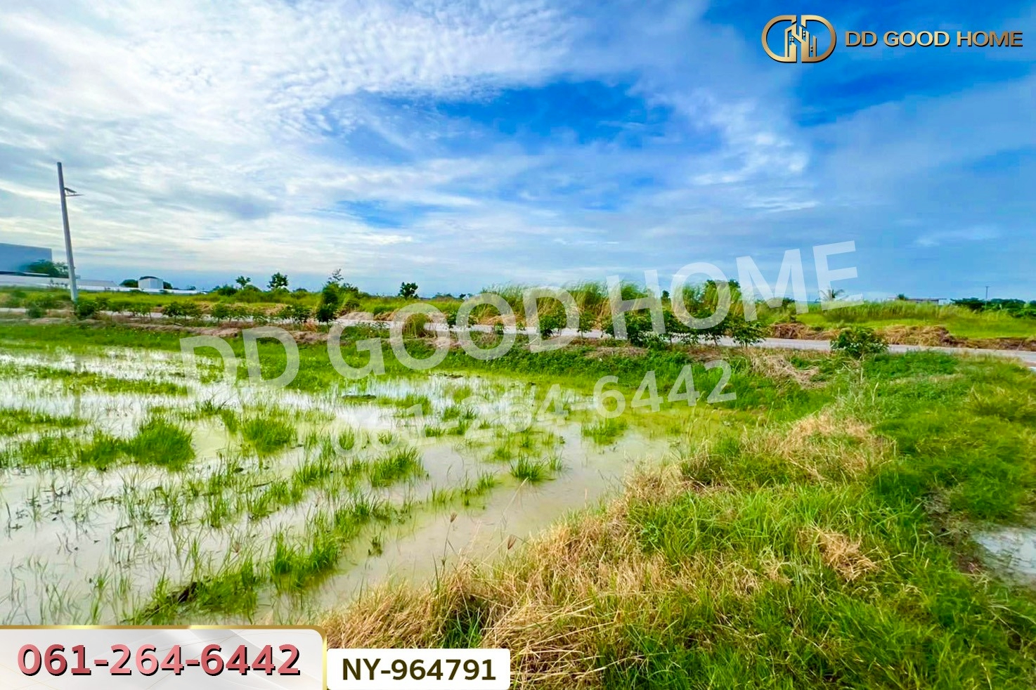 NY-964791 ที่ดินบ้านบึง 4 ไร่ ชลบุรี ใกล้ภิญโญฟาร์ม (เต้าหู้ไข่ไก่ตระกูลหยาง)