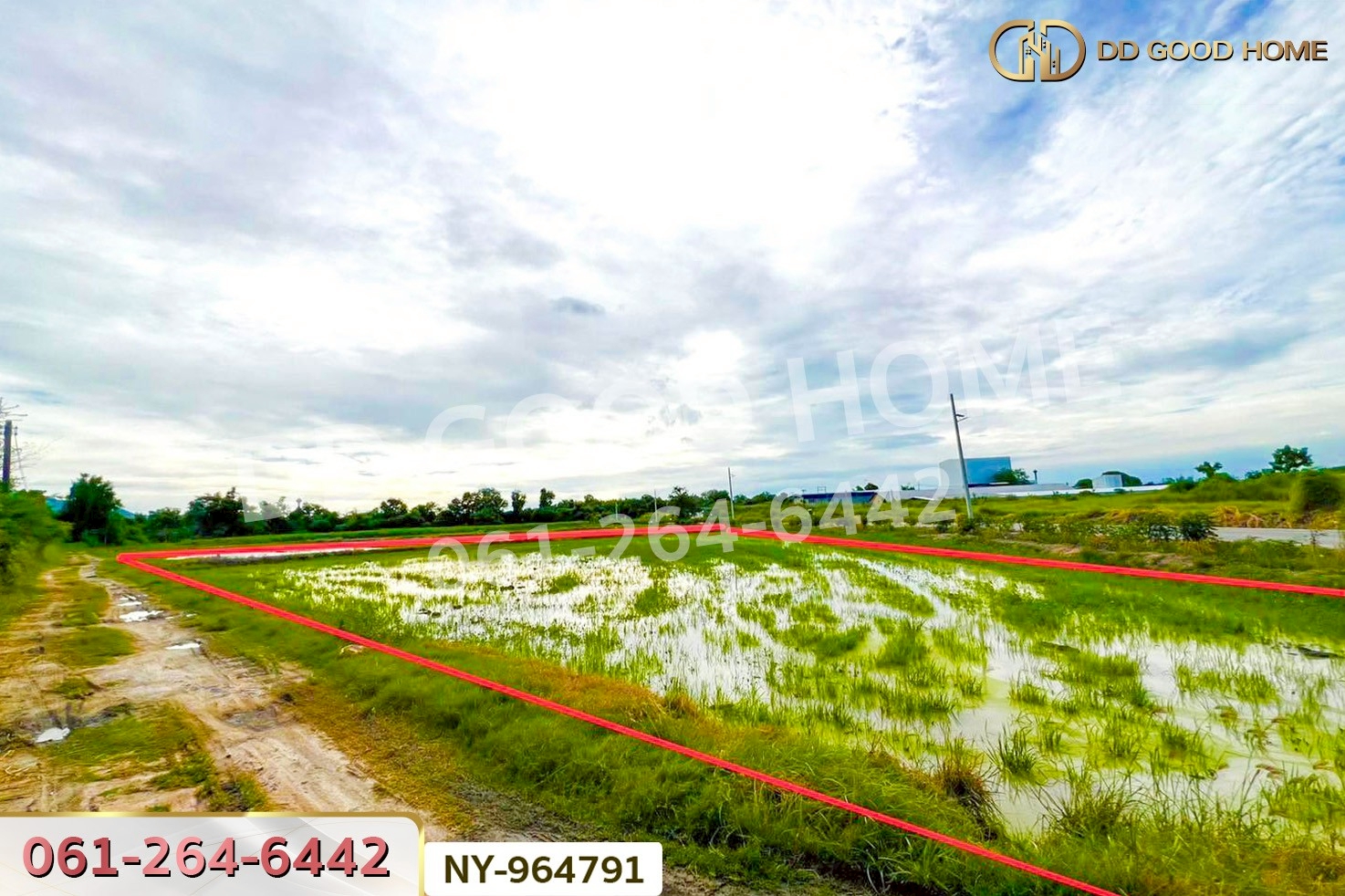NY-964791 ที่ดินบ้านบึง 4 ไร่ ชลบุรี ใกล้ภิญโญฟาร์ม (เต้าหู้ไข่ไก่ตระกูลหยาง)