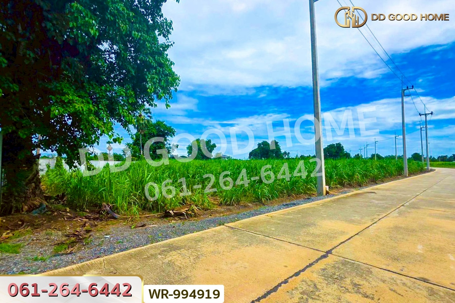 WR-994919 ที่ดินทุ่งคอก 6 ไร่ 110 ตร.ว. สุพรรณบุรี ใกล้สำนักงานขนส่ง สาขาอำเภอสองพี่น้อง