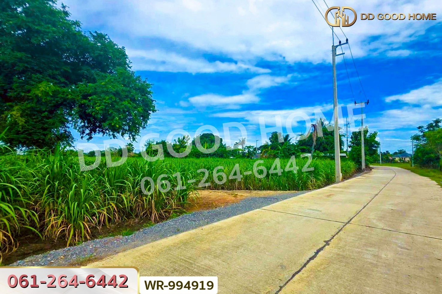 WR-994919 ที่ดินทุ่งคอก 6 ไร่ 110 ตร.ว. สุพรรณบุรี ใกล้สำนักงานขนส่ง สาขาอำเภอสองพี่น้อง