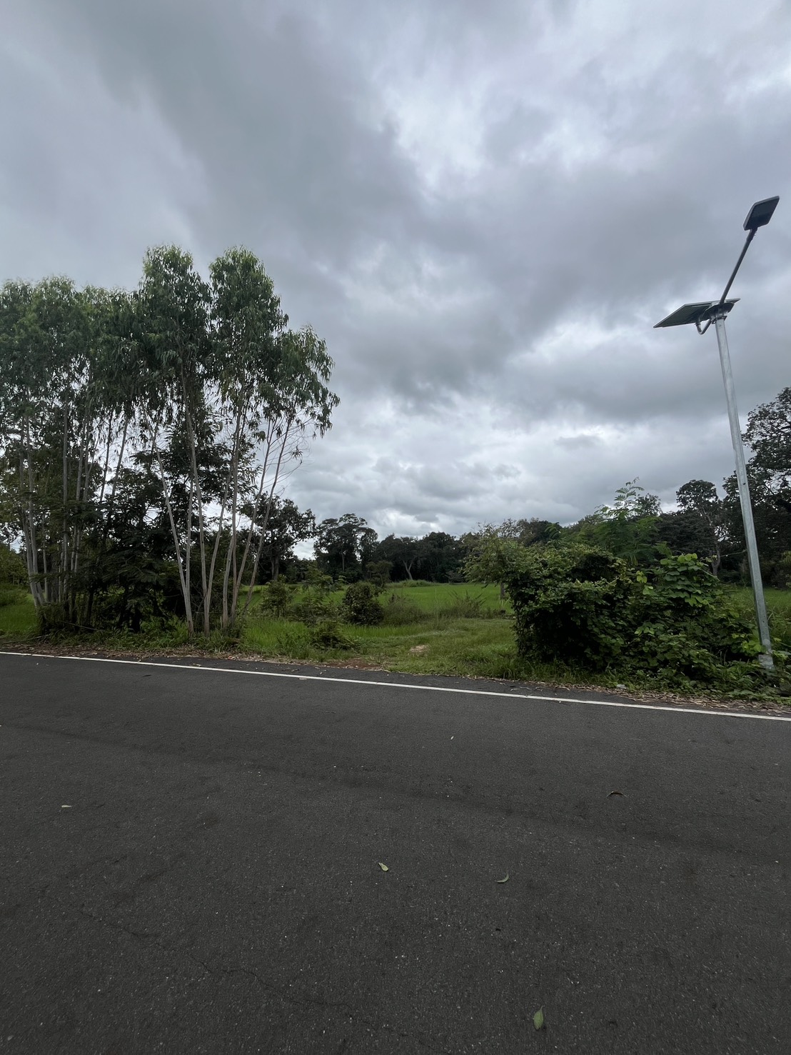 ขายที่ดินทำเลสวย ติดถนน จังหวัดอำนาจเจริญ 6 ไร่ 2 งาน 21 ตารางวา ในราคา 1,200,000 บาท (รวมโอน) เจ้าของขายเอง