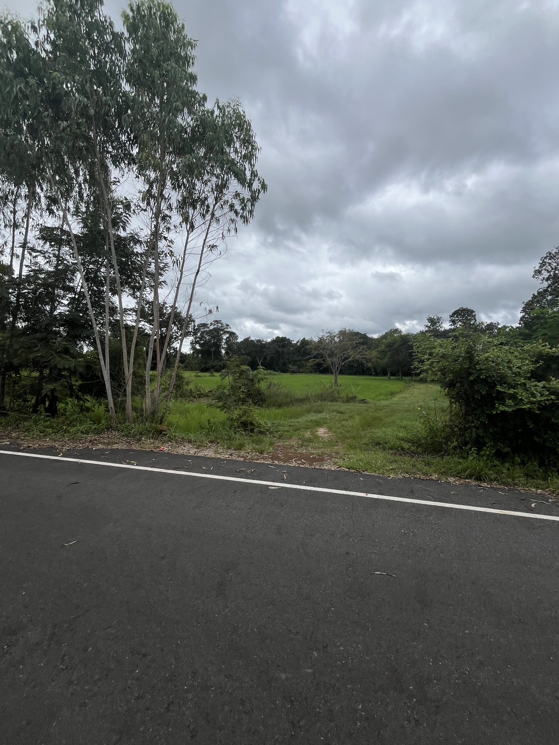 ขายที่ดินทำเลสวย ติดถนน จังหวัดอำนาจเจริญ 6 ไร่ 2 งาน 21 ตารางวา ในราคา 1,200,000 บาท (รวมโอน) เจ้าของขายเอง