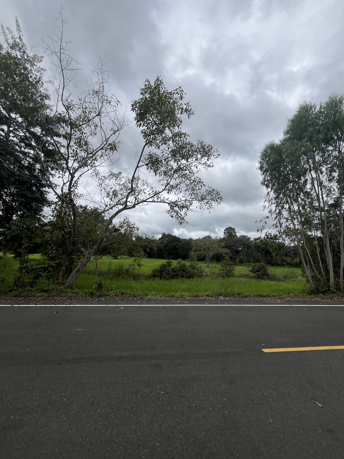 ขายที่ดินทำเลสวย ติดถนน จังหวัดอำนาจเจริญ 6 ไร่ 2 งาน 21 ตารางวา ในราคา 1,200,000 บาท (รวมโอน) เจ้าของขายเอง