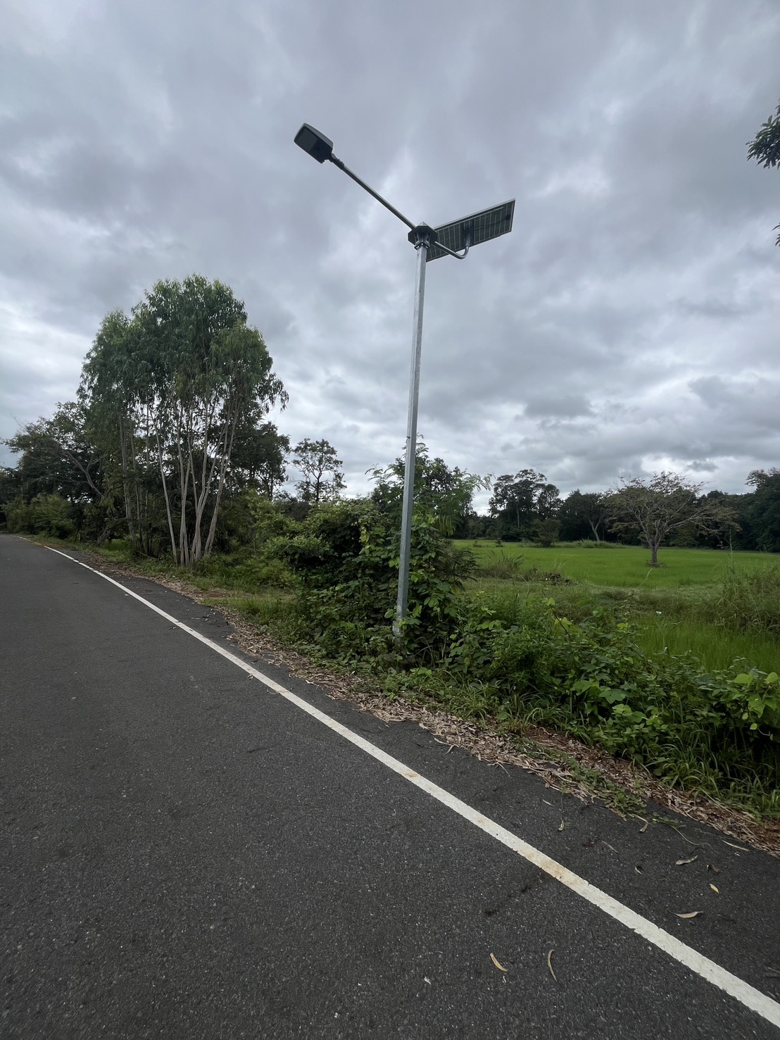 ขายที่ดินทำเลสวย ติดถนน จังหวัดอำนาจเจริญ 6 ไร่ 2 งาน 21 ตารางวา ในราคา 1,200,000 บาท (รวมโอน) เจ้าของขายเอง