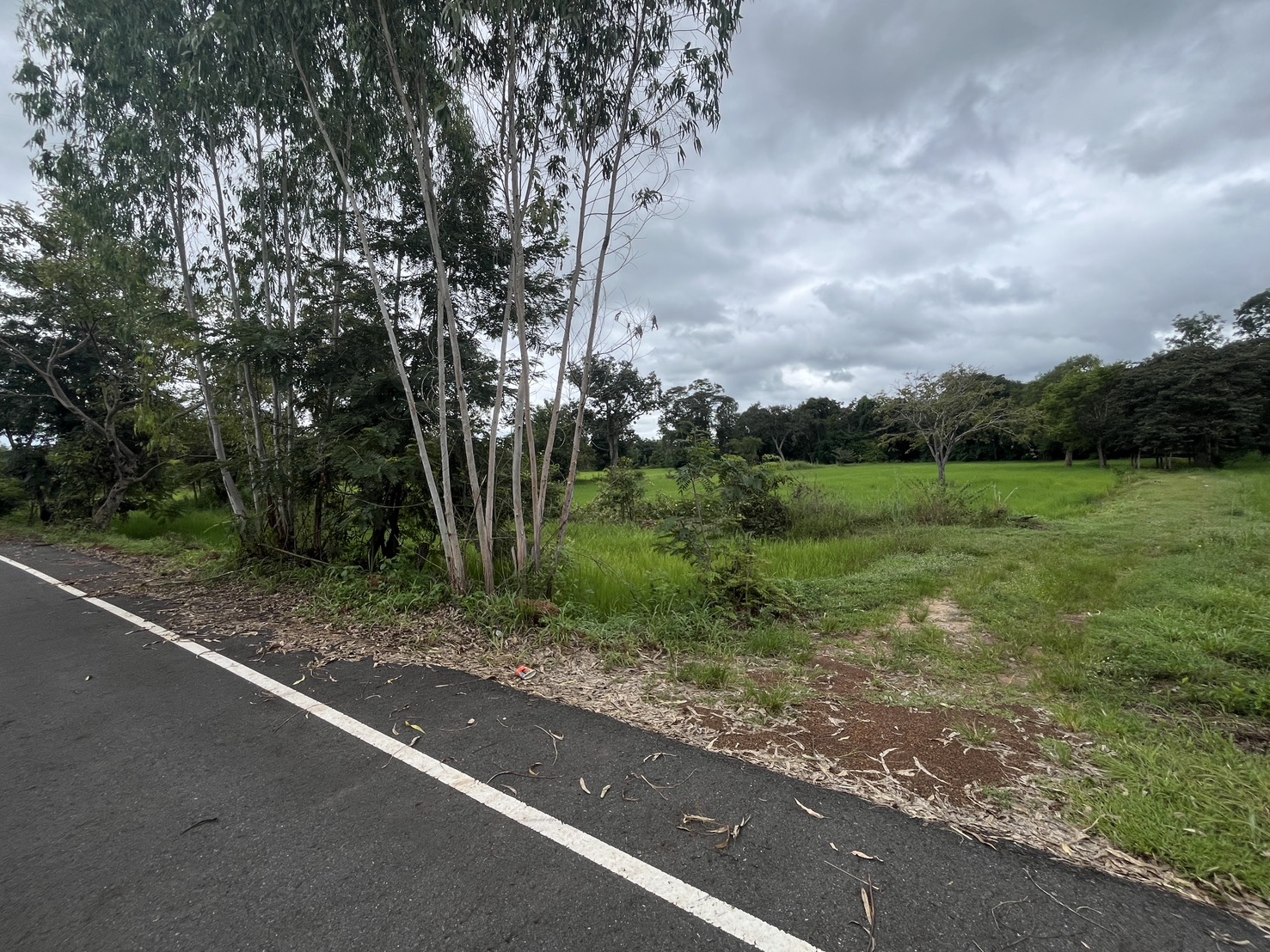 ขายที่ดินทำเลสวย ติดถนน จังหวัดอำนาจเจริญ 6 ไร่ 2 งาน 21 ตารางวา ในราคา 1,200,000 บาท (รวมโอน) เจ้าของขายเอง