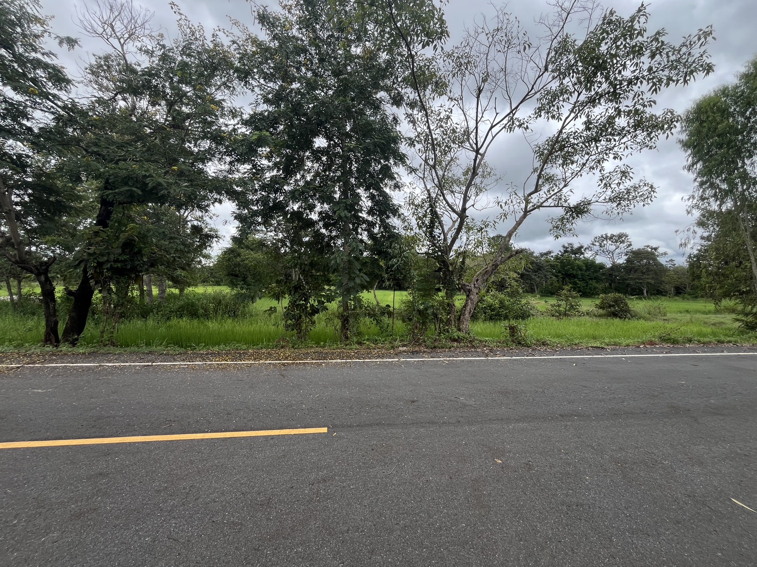 ขายที่ดินทำเลสวย ติดถนน จังหวัดอำนาจเจริญ 6 ไร่ 2 งาน 21 ตารางวา ในราคา 1,200,000 บาท (รวมโอน) เจ้าของขายเอง