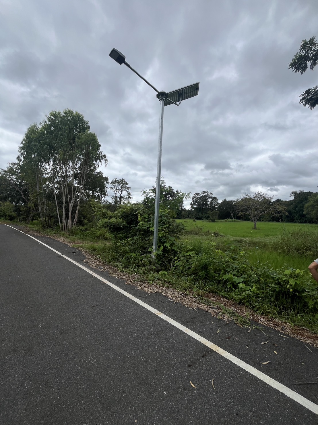 ขายที่ดินทำเลสวย ติดถนน จังหวัดอำนาจเจริญ 6 ไร่ 2 งาน 21 ตารางวา ในราคา 1,200,000 บาท (รวมโอน) เจ้าของขายเอง