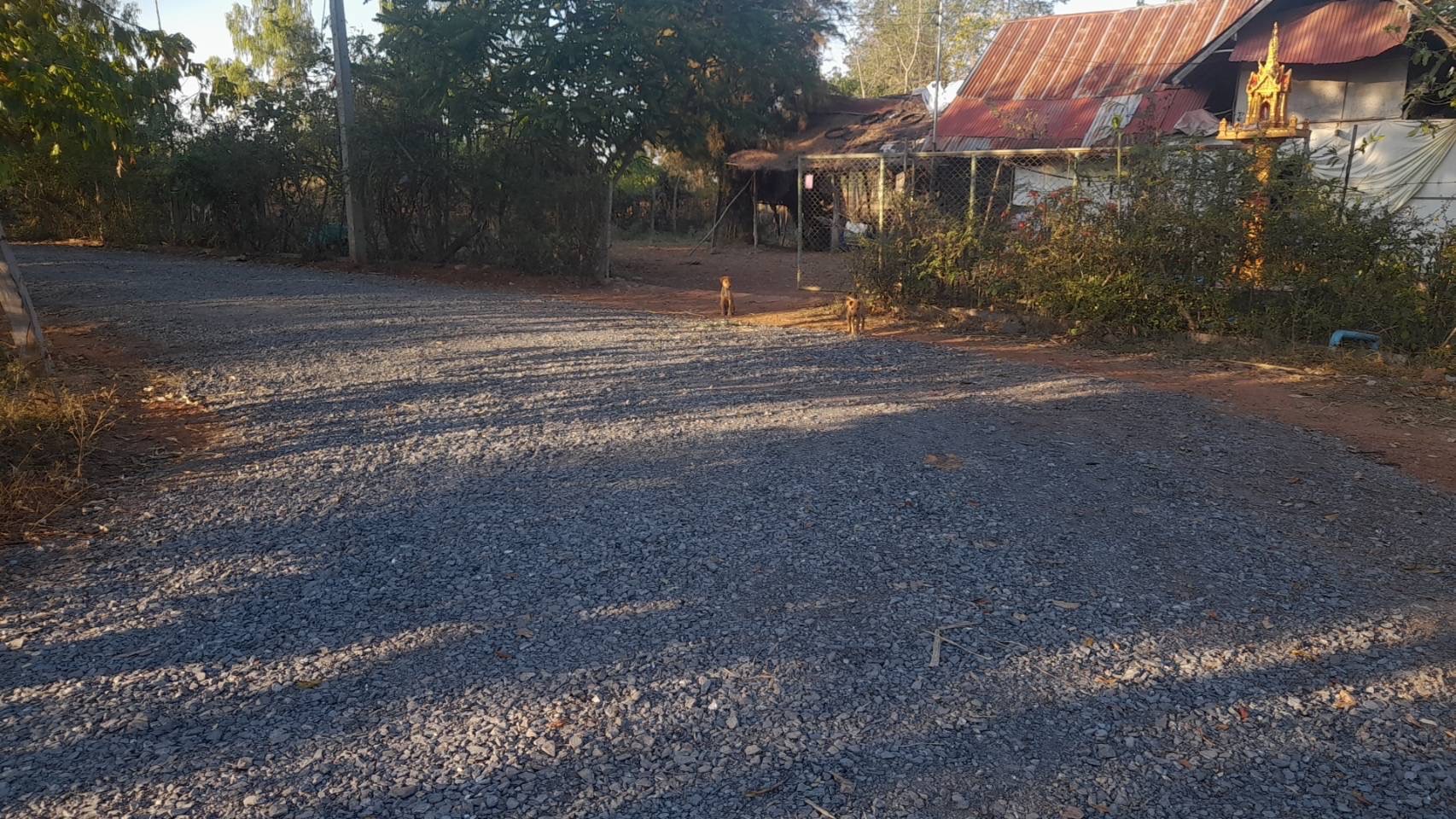 ขายที่ดินเปล่า ทำเลดี  อำเภอภูเวียง จังหวัดขอนเเก่น