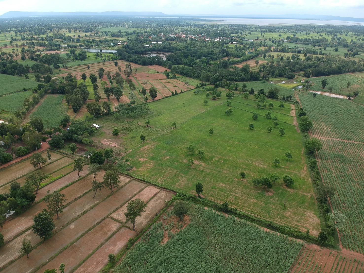 ขายที่ดินเปล่า ทำเลดี  อำเภอภูเวียง จังหวัดขอนเเก่น