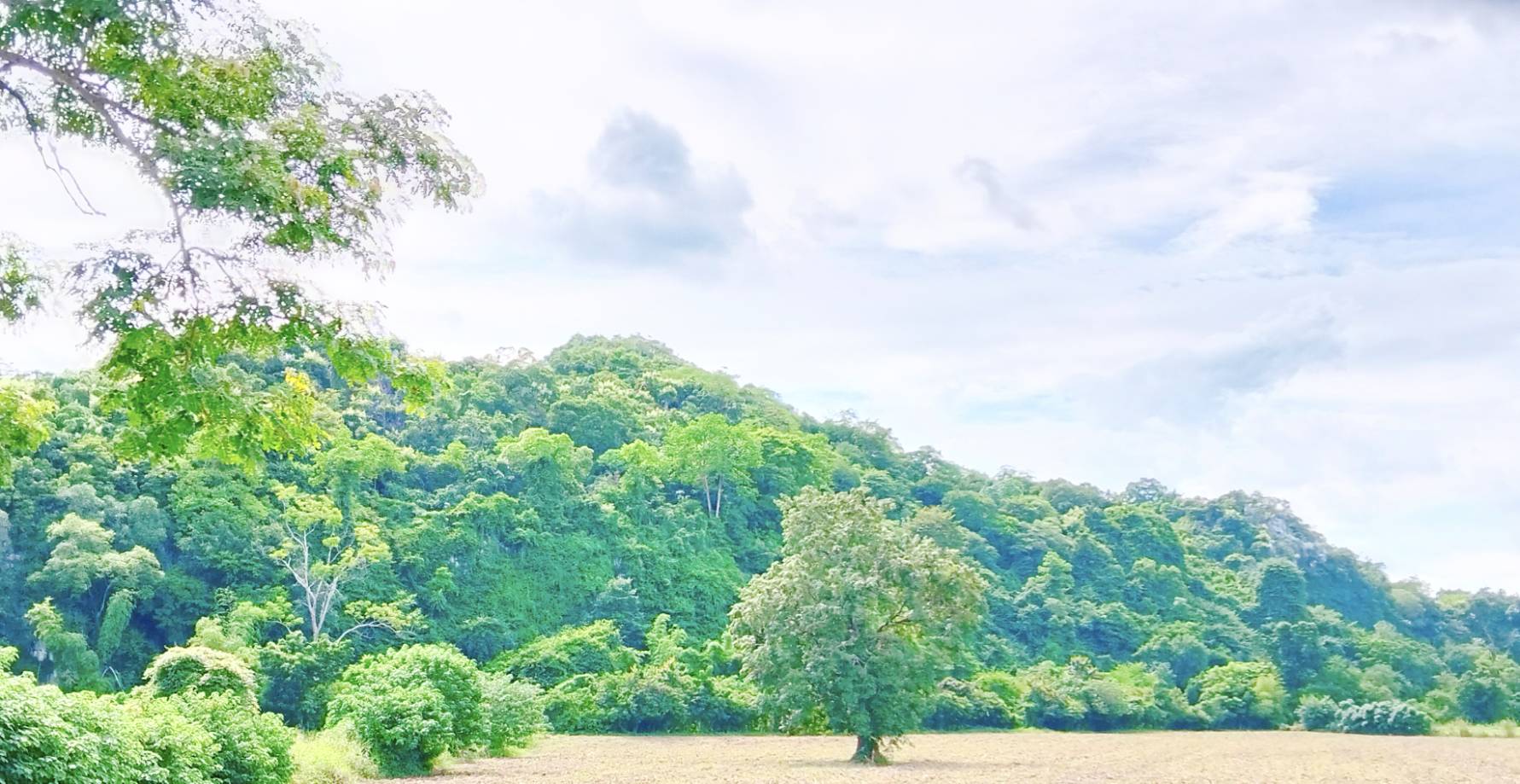 ขายที่ดินเปล่า ทำเลดี ราคาถูก อำเภอแก่งคอย จังหวัดสระบุรี  ไร่ละ 550000