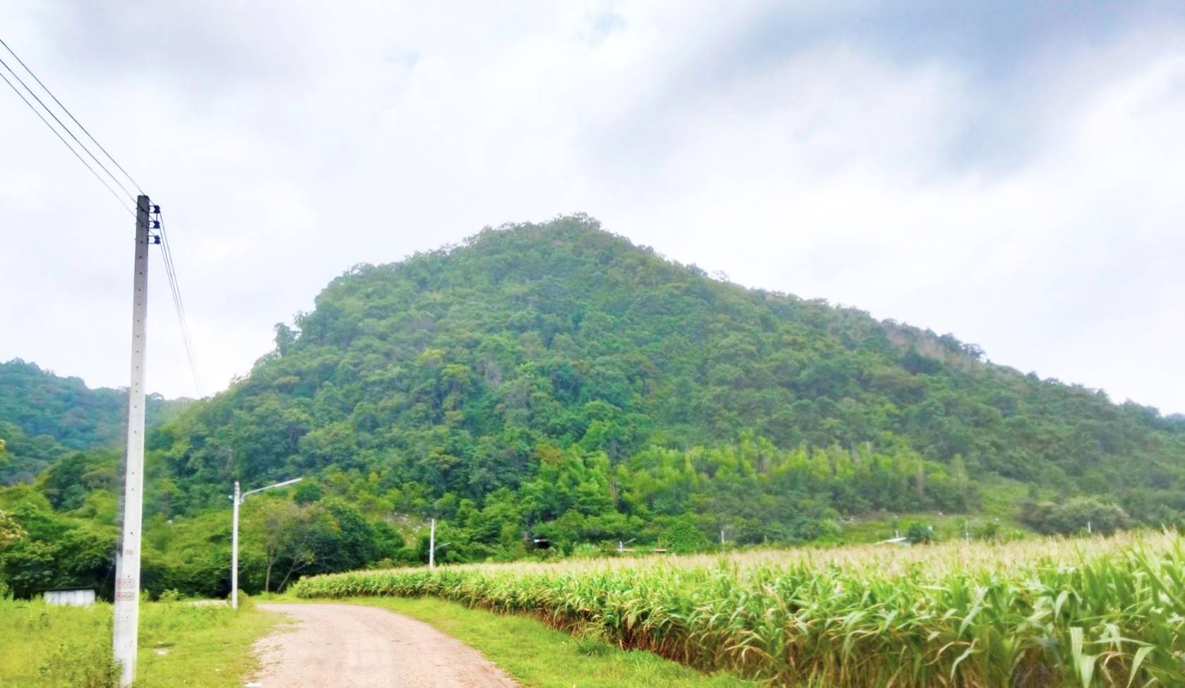 ขายที่ดินเปล่า ทำเลดี ราคาถูก อำเภอแก่งคอย จังหวัดสระบุรี  ไร่ละ 550000