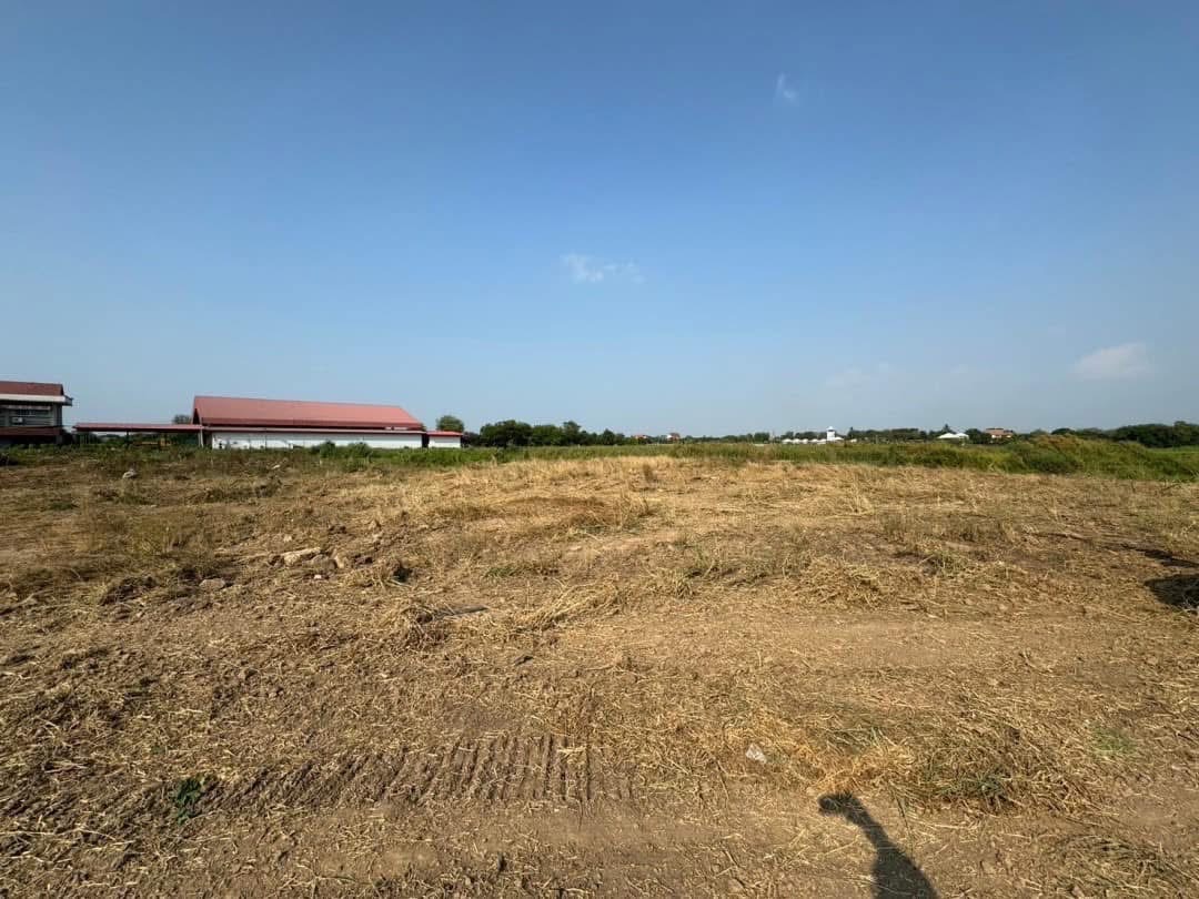 ขายที่ดินเปล่า ทำเลดี ใกล้ชุมชน ติดถนนลาดยาง อำเภอเมือง จังหวัดอ่างทอง