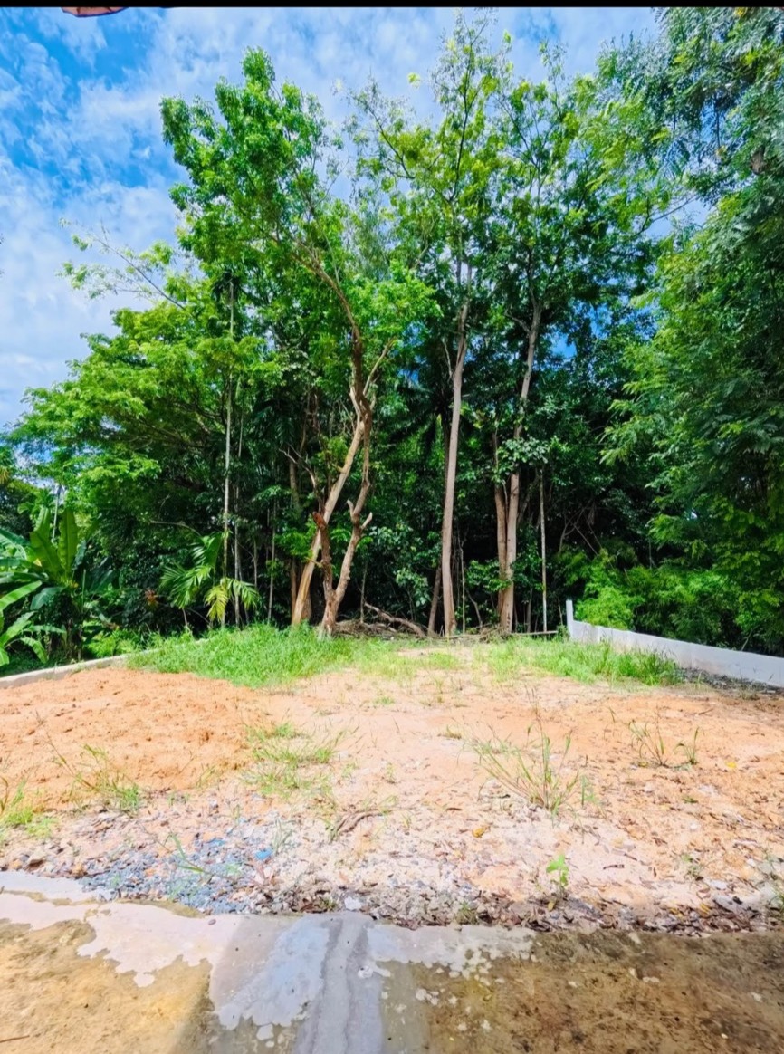 ขายบ้านเดี่ยวชั้นเดี่ยว  รีโนเวทใหม่ ทำเลดี อยู่ท่ามกลางธรรมชาติ อำเภอบ้านค่าย จังหวัดระยอง