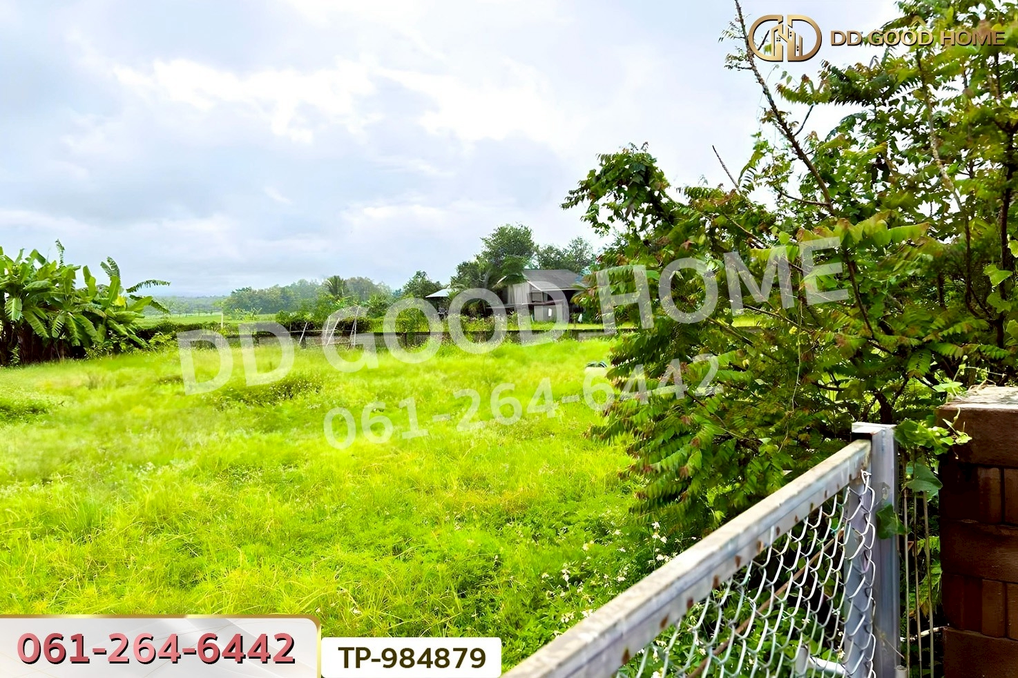 DD-984879 ที่ดินพระธาตุขิงแกง 1 ไร่ 34.1 ตร.ว. พะเยา ใกล้โลตัส สาขาจุน