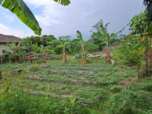 ขายที่ดินเปล่า ทำเลทอง  อำเภอนิคมพัฒนา จังหวัดระยอง